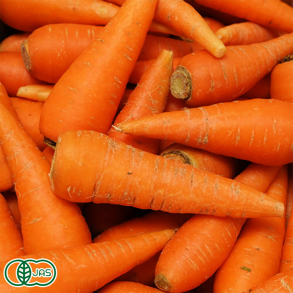 日本未入荷 有機にんじん 洗い 5kg 有機JAS 千葉県 株式会社びおロジ 