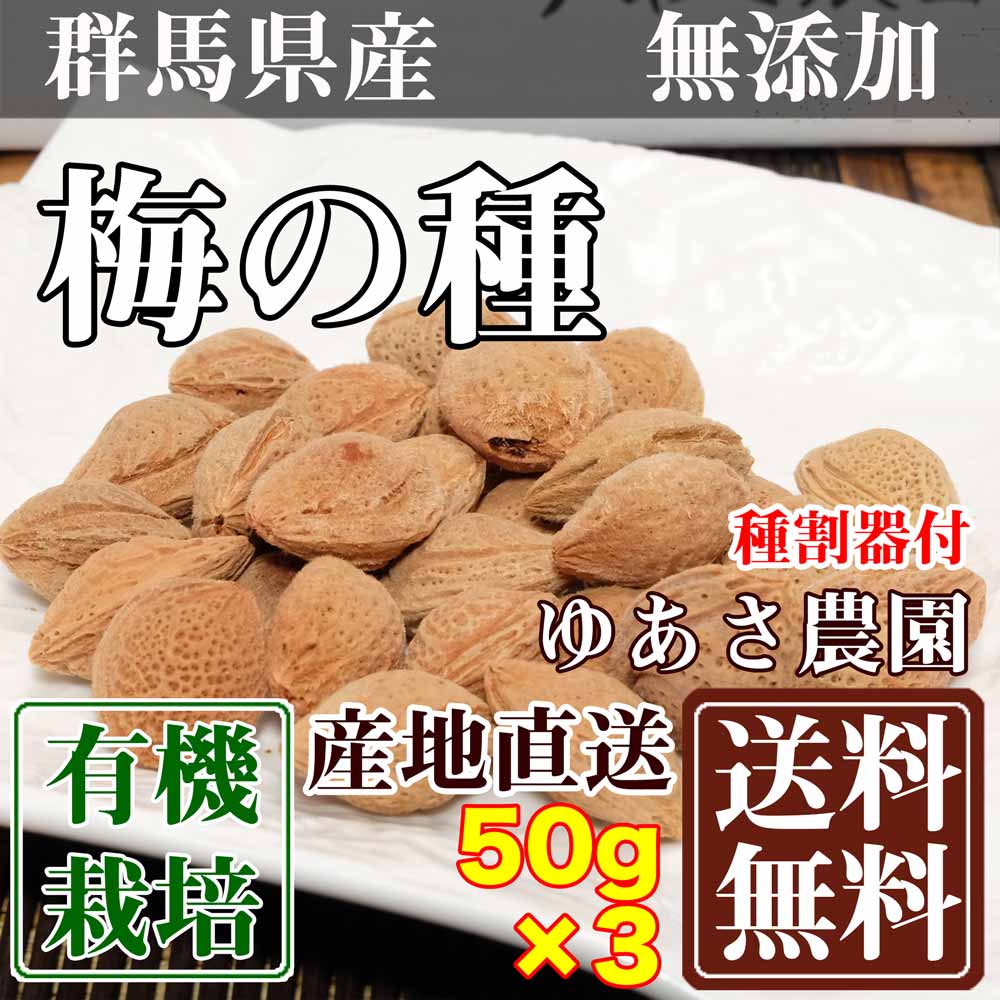 楽天市場】梅酒用梅セット 10kg 有機JAS (神奈川県小田原 自然園 楽天市場】梅酒用梅セット 10kg 有機JAS (神奈川県小田原 自然園