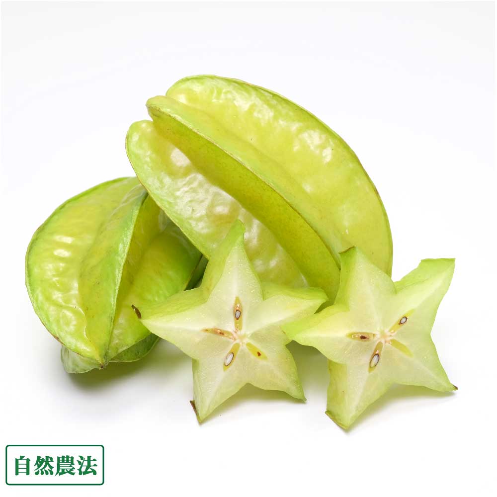 楽天市場】【送料無料】スターフルーツの苗 果樹の苗木 13.5cmポット 1