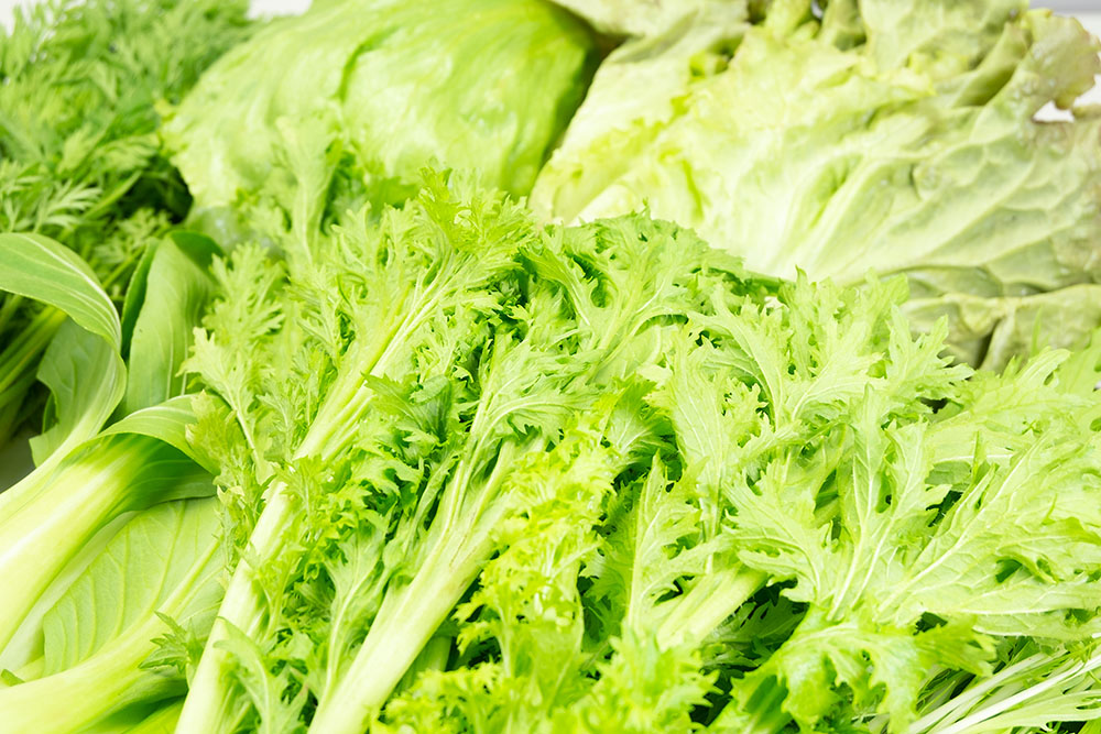誠実 有機里芋 オーガニック 里芋 2kg 化学肥料 農薬不使用 無農薬 農家直送 送料無料 有機野菜 旬の野菜 有機JAS認証 JASマーク 完全有機野菜  産直 芋煮 さといも 有機栽培