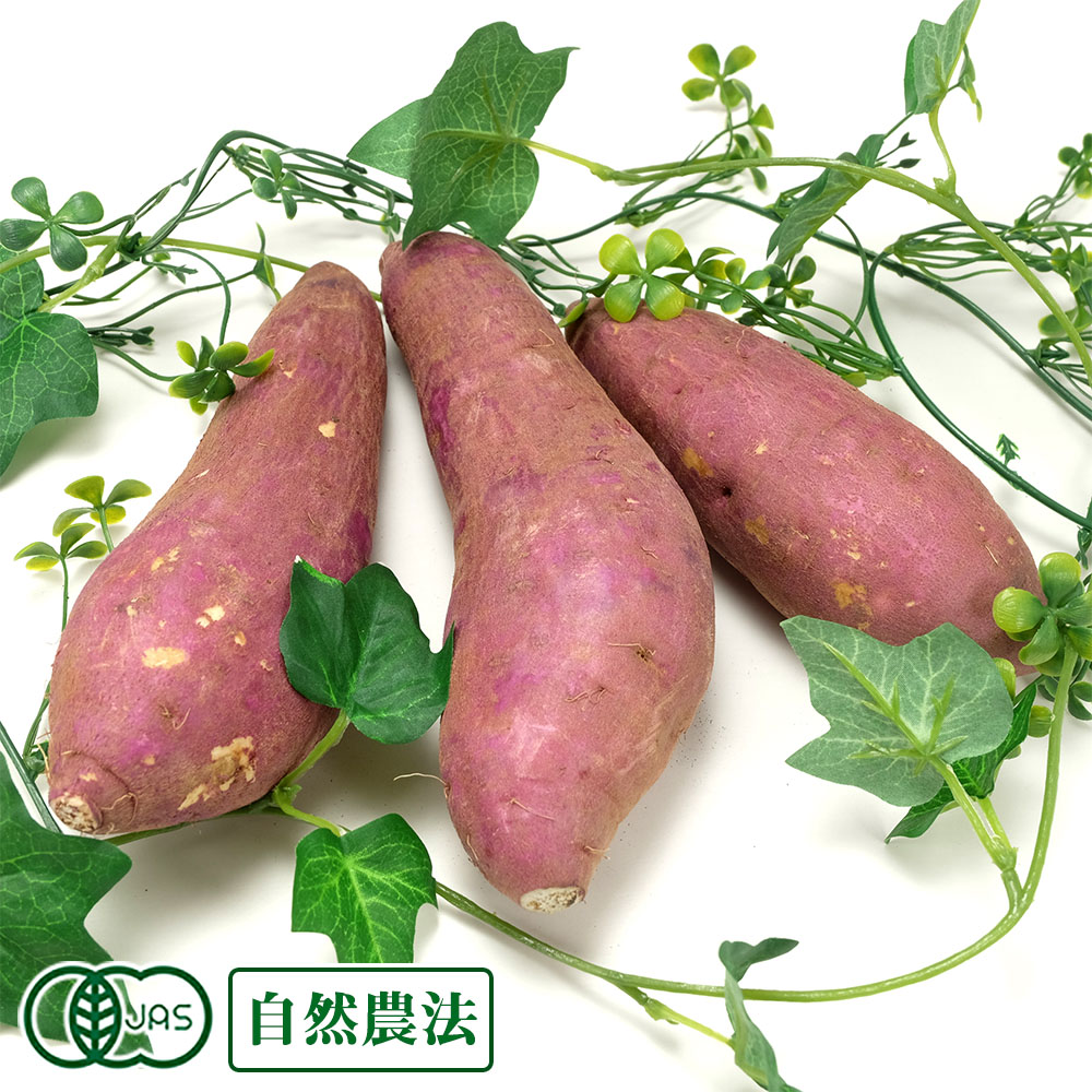 Sizensyoku21 10 Kg Of Organic Sweet Potatoes Rouge Spring