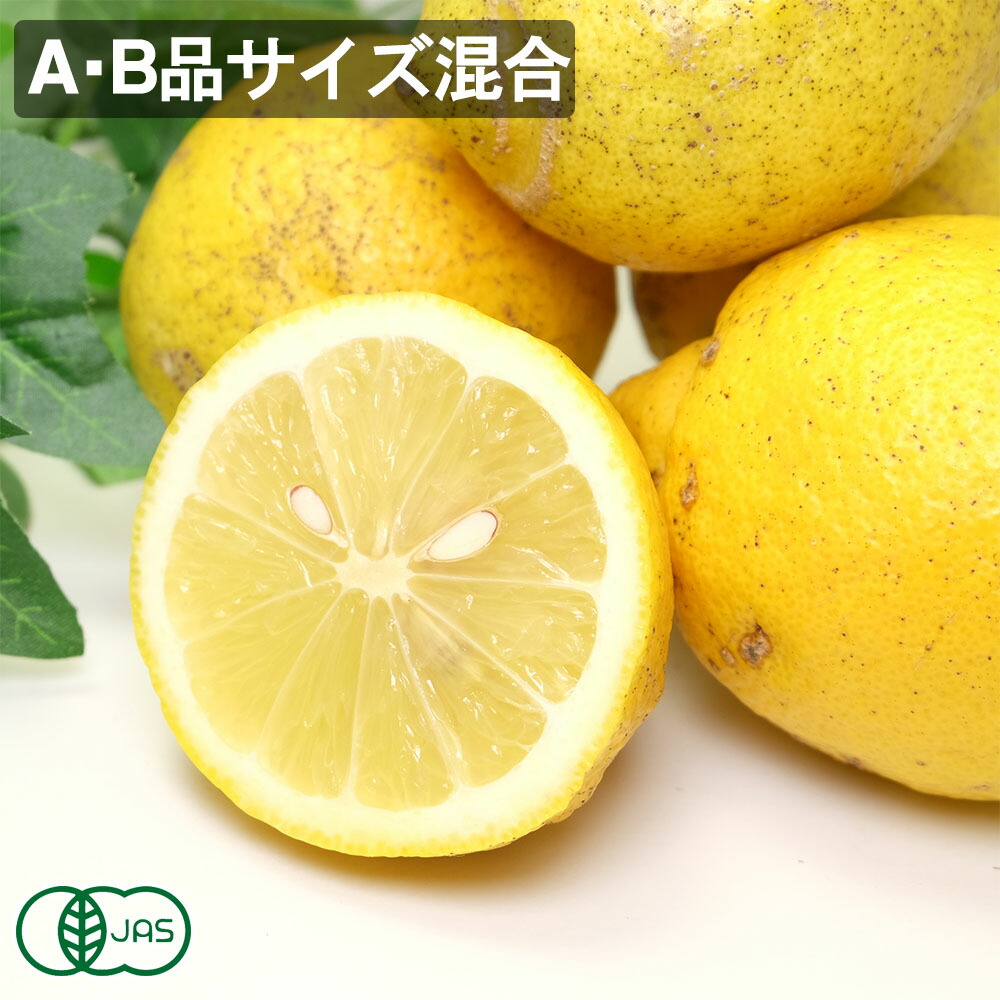 【期間限定特別価格！Ａ・Ｂサイズ混合】 有機 レモン(リスボン) 10kg 有機JAS  (神奈川県 山下農園) 産地直送