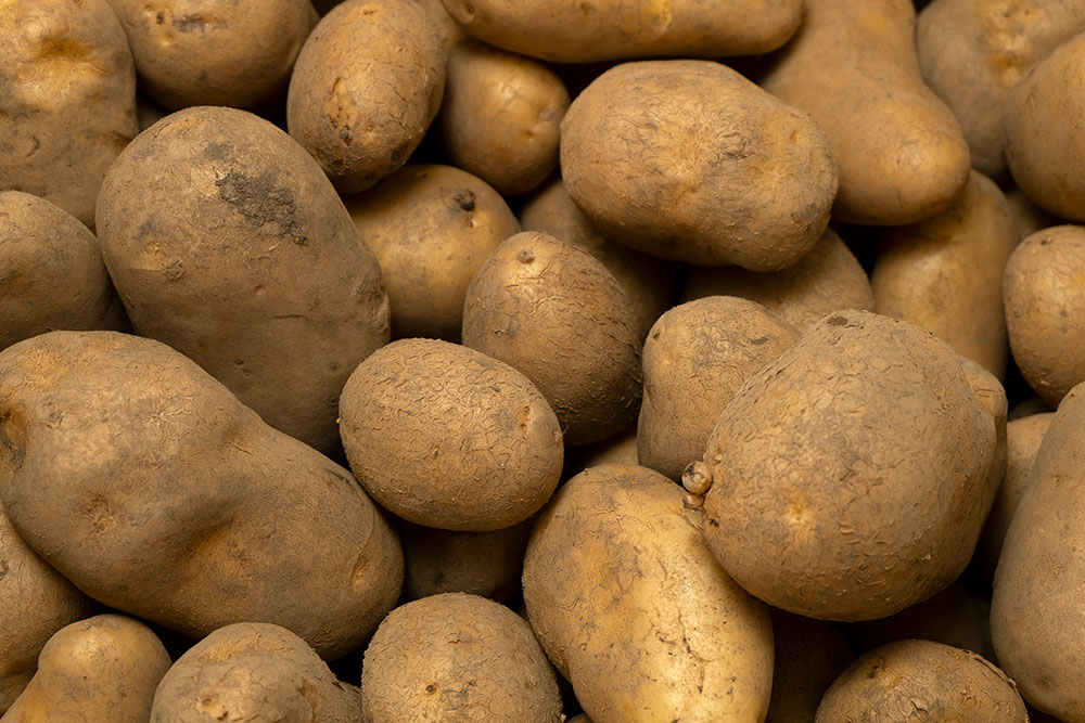 メークイン 10kg 2箱 有機jas ジャガイモ Bedilegal Com