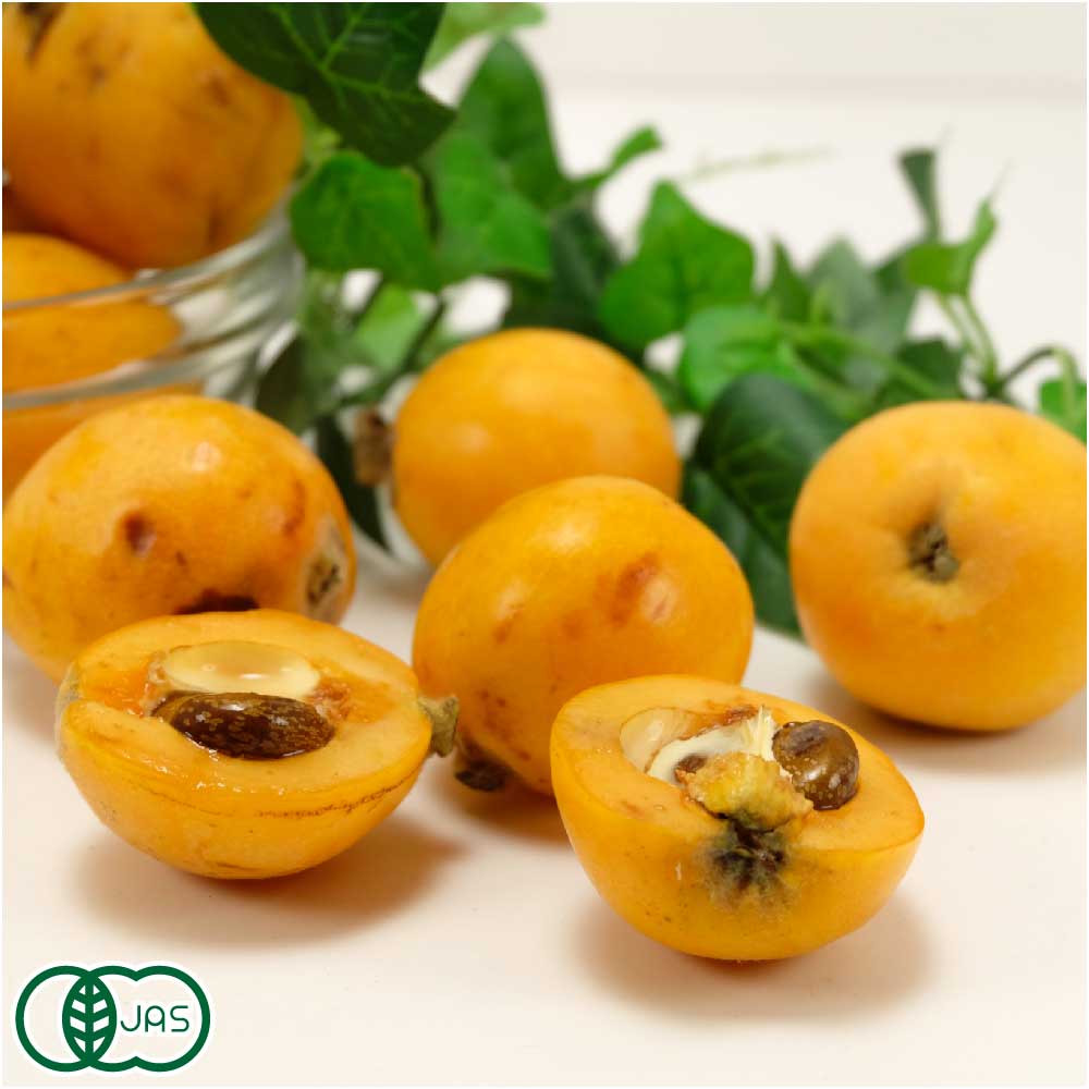 60 Off クール冷蔵便 有機 びわ 8パック 2 4kg 有機jas 佐賀県 佐藤農場 産地直送 人気提案 Css Edu Om