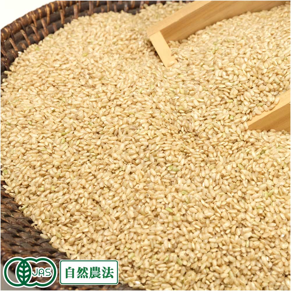 楽天市場】【12月はP10倍☆要エントリー】 【令和7年度産】金のいぶき 楽天市場】【12月はP10倍☆要エントリー】 【令和7年度産】金のいぶき