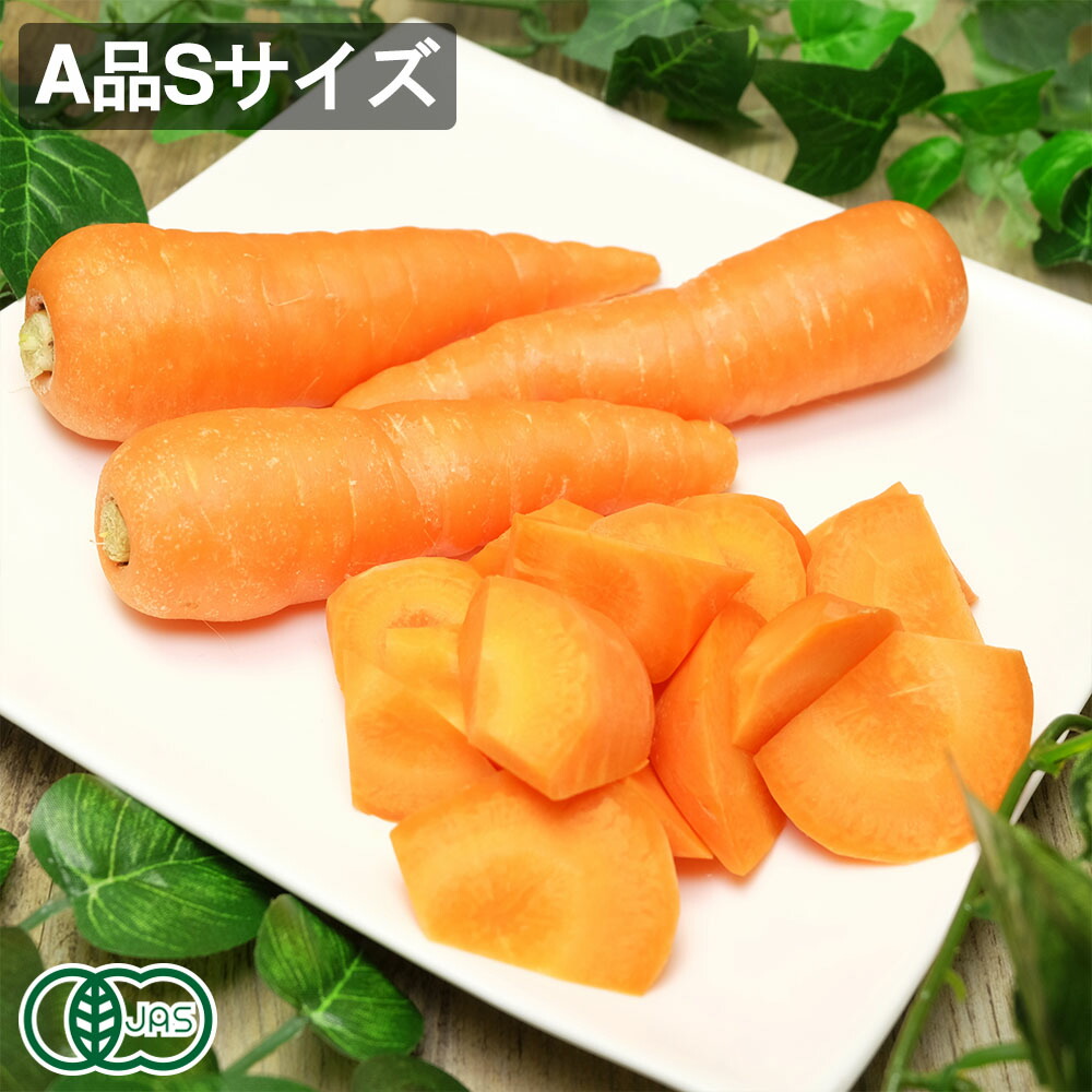 有機 にんじん A品 Sサイズ 10kg 有機JAS (岡山県 吉備路オーガニックワーク) 産地直送