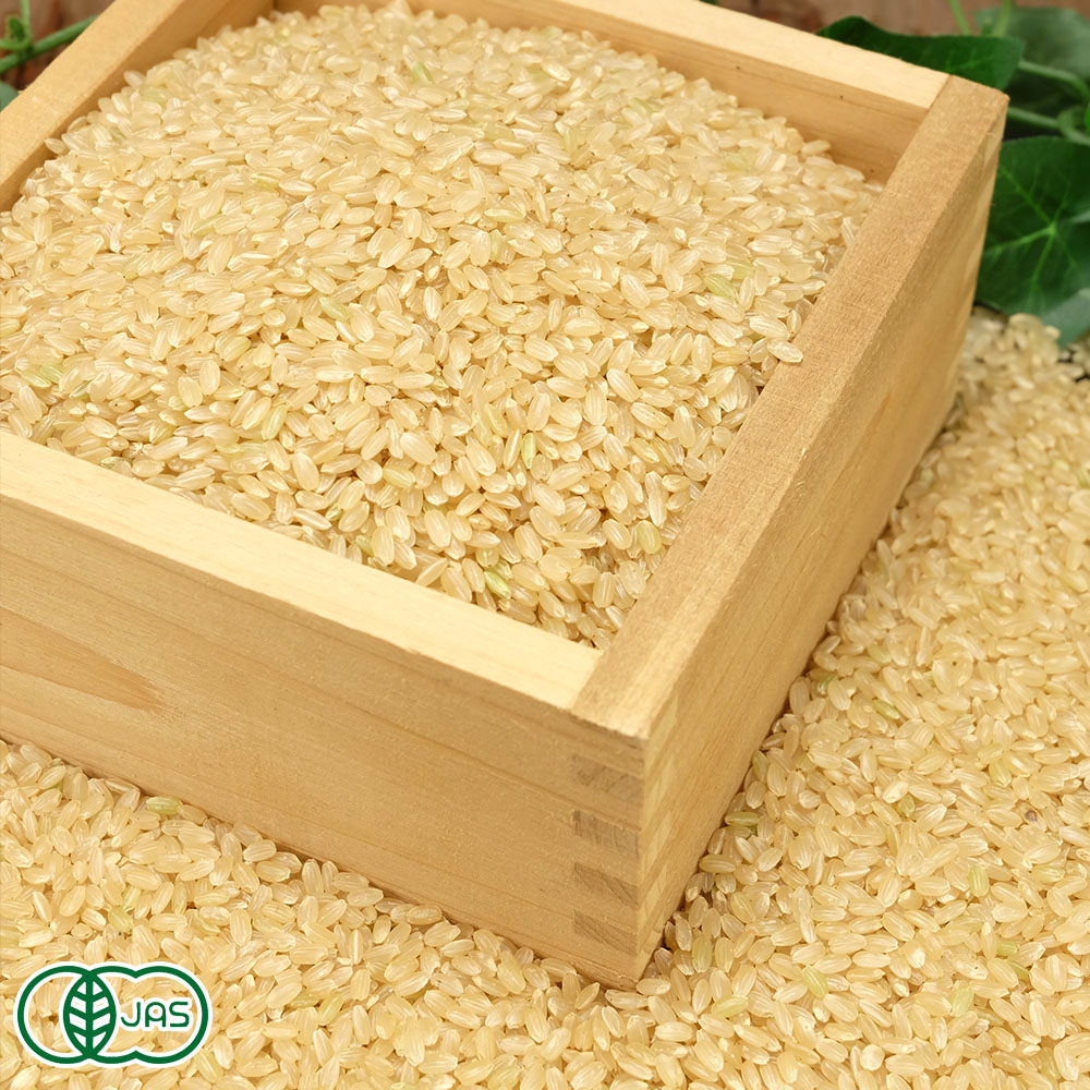 【令和7年度産】 銀河のしずく 玄米 30kg 有機JAS (岩手県 いわて大東有機) 産地直送|ふるさと21