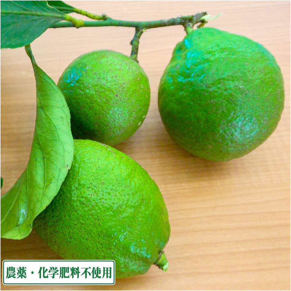 無し区分け 広島県独創 とびしま レモン 翠緑 5kg 無 無 広島県 とびしま農場 郷里直送 Loadedcafe Com
