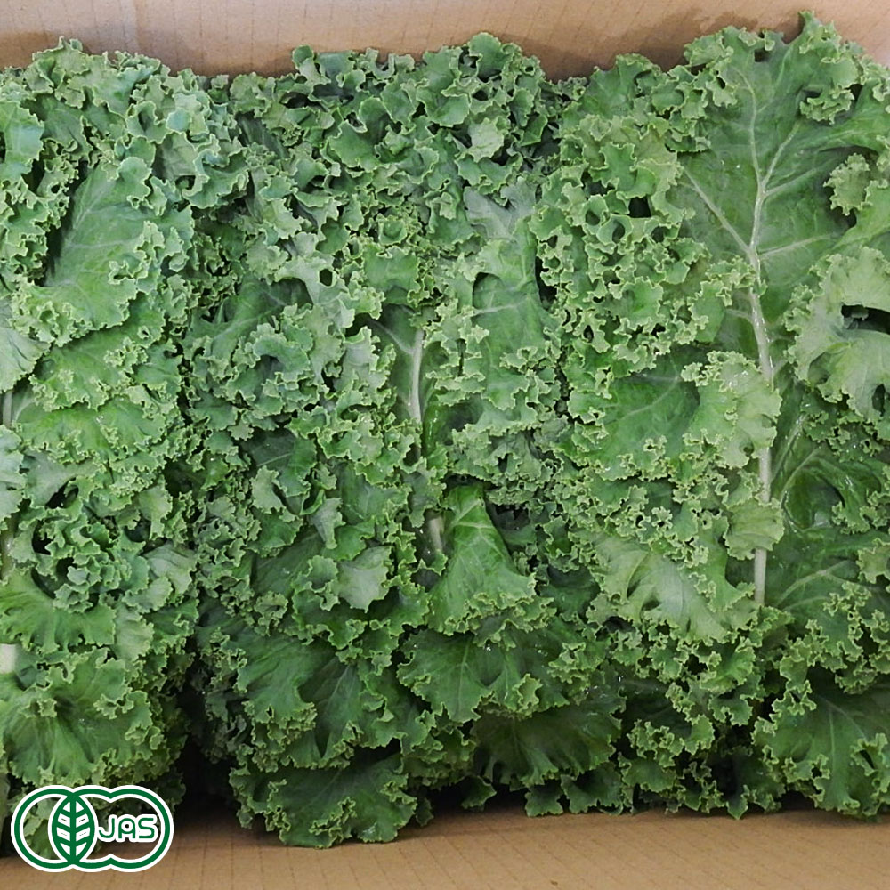 楽天市場 クール便 有機 カリーノケール 1kg 有機jas 島根県 有機ファーム研久屋 産地直送 ふるさと２１