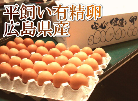 img59963620.jpg