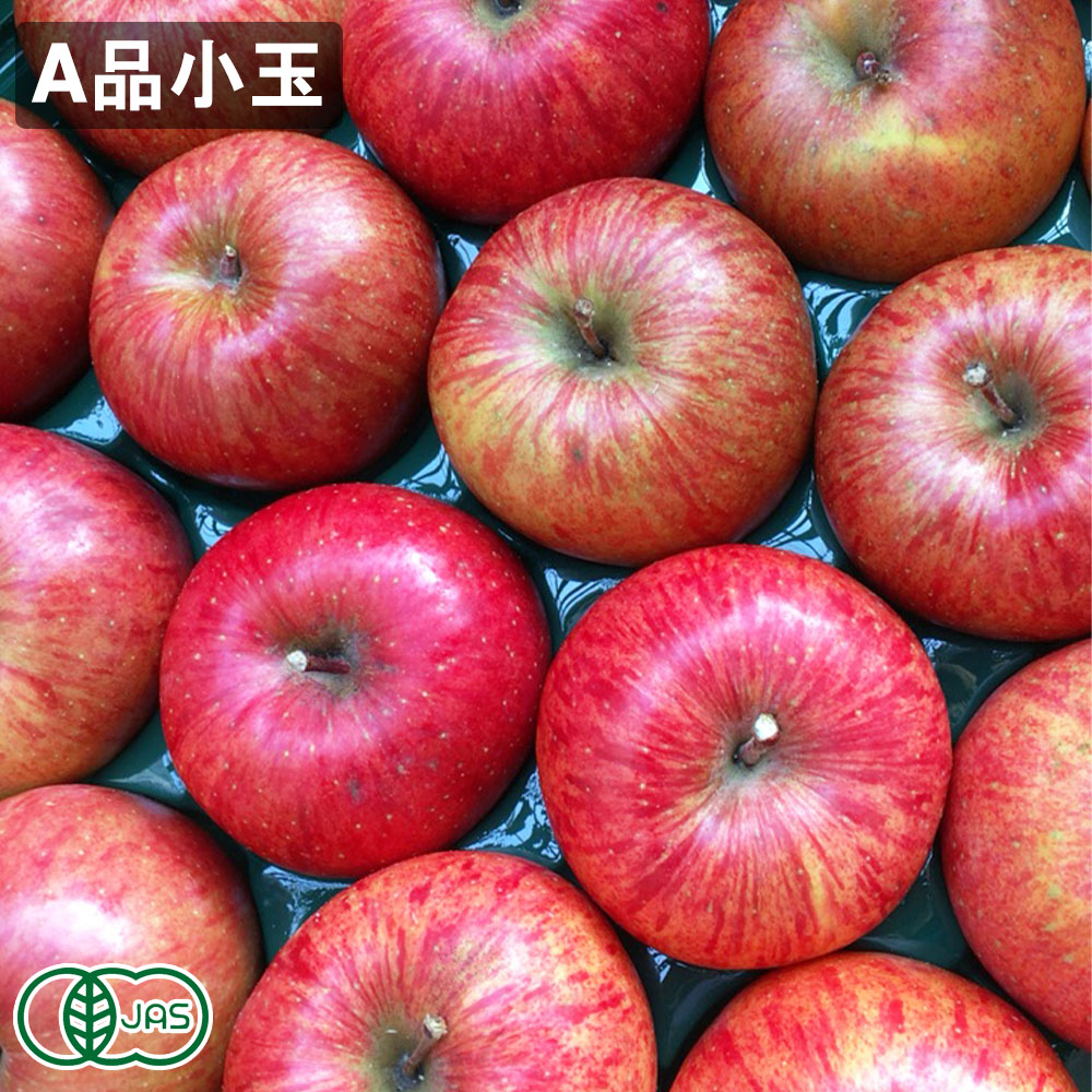 減農薬栽培りんご 紅玉約10kg 竹嶋有機農園｜紅玉