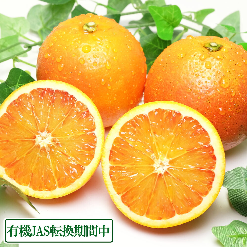 ブラッドオレンジ 10kg 有機JAS転換期間 (佐賀県 佐藤農場株式会社) 産地直送 8,208円