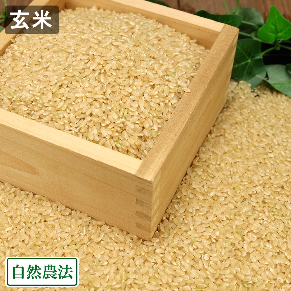 【令和7年度産】もち米(こがねもち) 玄米 5kg 自然農法 (山形県 佐藤農園) 産地直送