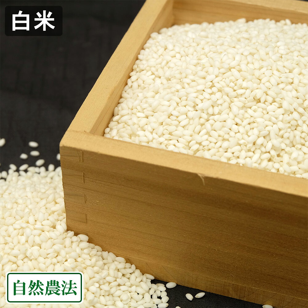 【楽天市場】【令和7年度産】もち米こがねもち 白米 2kg 自然農法 山形県 佐藤農園 産地直送：ふるさと21 