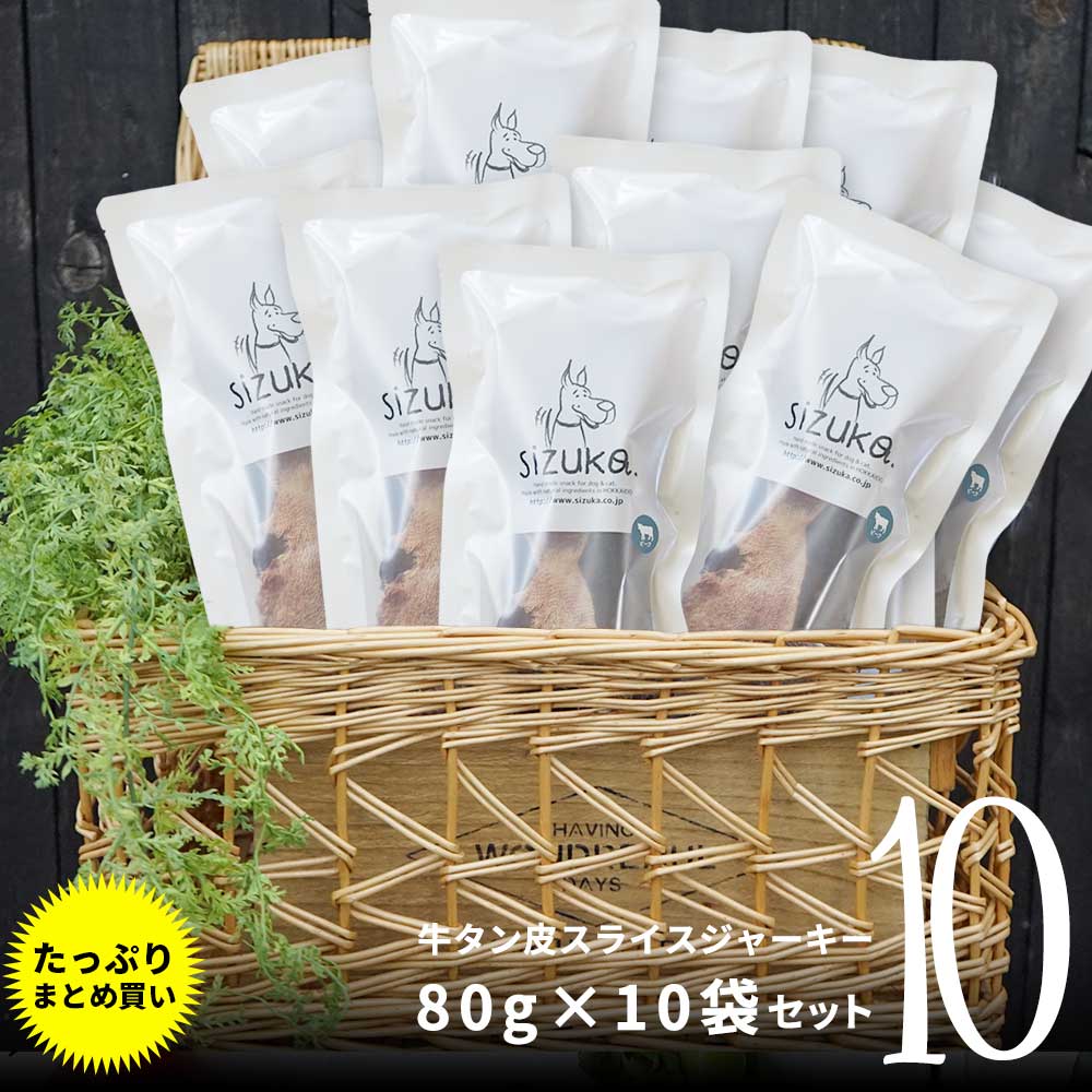 おしらせ