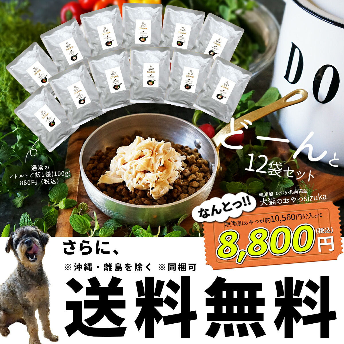 Sizukaのレトルトご飯 12袋セット北海道産 犬 おやつ 無添加 国産 犬猫のおやつシズカ Sizuka エゾマルシェ ドッグフード キャットフード ペット 好き 手作り 牛肉 鹿肉 鮭 サーモン 詰め合わせ ギフト レトルト まとめ買い シニア 老犬 高齢 父の日 Movilesgarcia Com