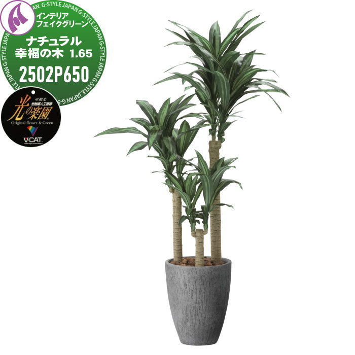 【無料★特典対象】 光触媒人工植物 株式会社アートクリエイション インテリア フェイクグリーン ストーンプランターシリーズ ナチュラル幸福の木 1.65m 2502P650 光の楽園 消臭 抗菌 防汚 空気浄化 PIAJ V-CAT｜DIYエクステリアSTYLE-JAPAN-GROUP