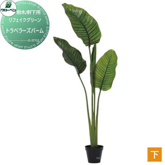 【無料★特典対象】 人工植物 グローベン リフェイクグリーン トラベラーズバーム 樹木・軒下用 A70TN555 完成品