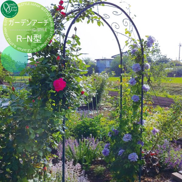 年製新品 オンリーワンエクステリア アーチにバラやツル製植物を絡ませれば オンリーワンエクステリア ガーデンアーチ ガーデンファニチャー R N型 憧れていたグリーンのトンネルになります ガーデンアーチ ガーデニング ガーデニング アーチ 送料無料 玄関への