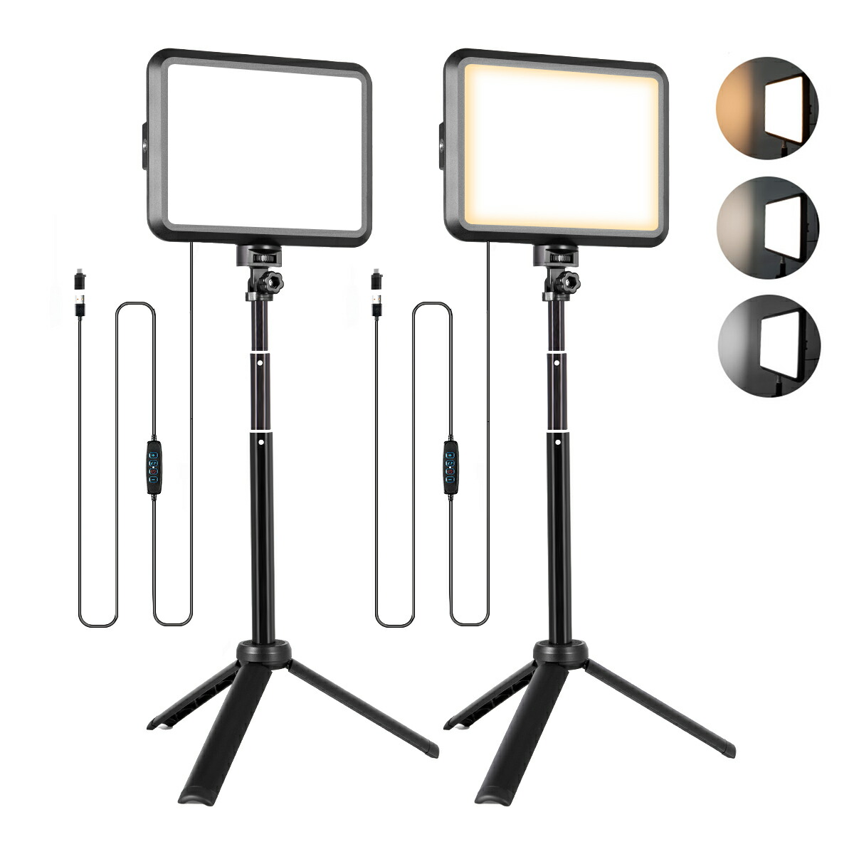ソフトボックス LED 撮影用 ライト 50x70cm 照明キット 遠隔操作 楽天市場】ソフトボックス【 2023新登場LED撮影用ライト】写真