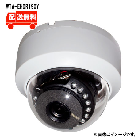 リピート多数 M61JRWL9QLH [M61JRWL9QLH]