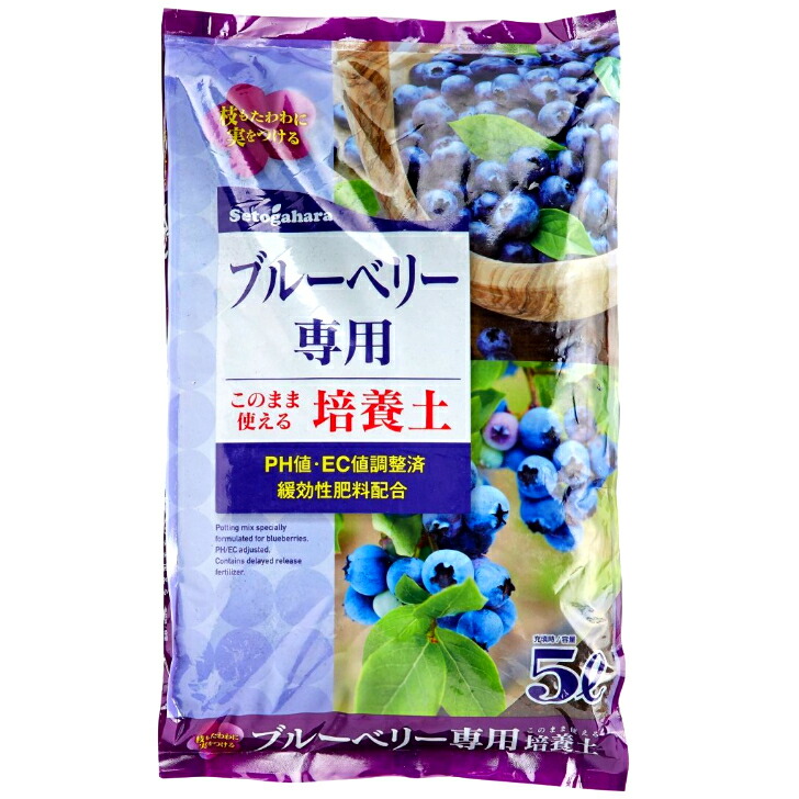 いけビィ様　ブルーベリー2鉢セット 二段ベッド ソリードⅡ NA／WH(5Y）NA／WH): ベッド