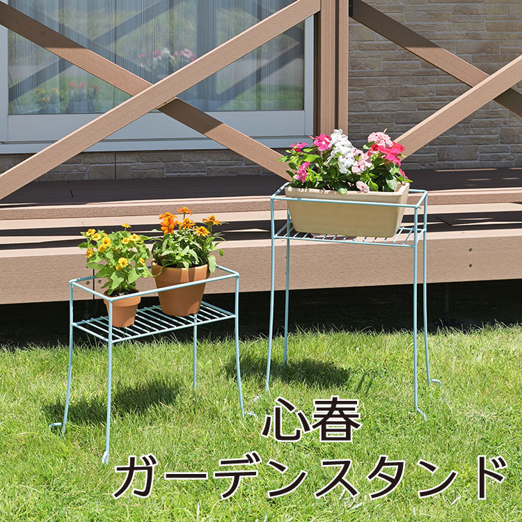 楽天市場】【10％OFFクーポン☆12/6 0:00〜12/11 9:59】 【園芸