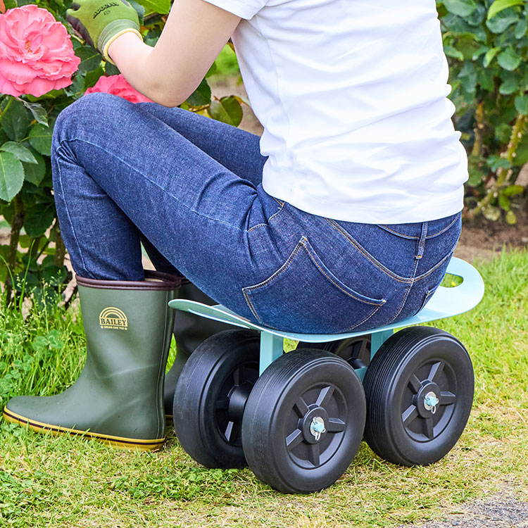 楽天市場】【11/30-12/1限定 ｸｰﾎﾟﾝで店内ほぼ全品10%OFF