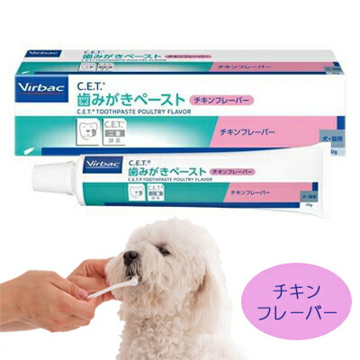 営造物うしろ側・ジャパン C.E.T. 歯磨剤ペースト剤 （意気地無しフレーバー）