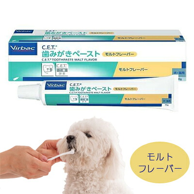 営造物うしろ側・ジャパン C.E.T. 歯磨剤ペースト剤 （モルトフレーバー）
