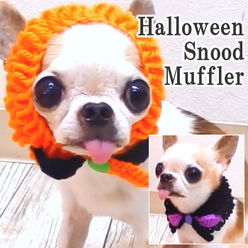 楽天市場 ハロウィン スヌード マフラー チワワ 小型犬 犬 ペット 犬用 ハロウィン コスプレ 仮装 Halloween かぼちゃ カボチャ ジャックオーランタン トリックオアトリーツ おしゃれ 子犬 パピー 犬用品 ペット用品 犬グッズ ペットグッズ チワワ専門店スキップドッグ