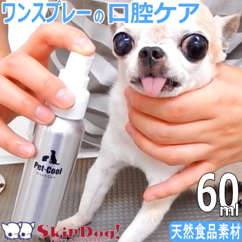 【楽天市場】ペットクール ブレスケア 100ml 犬 歯みがき 歯磨き