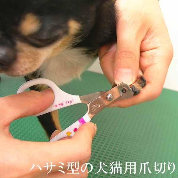 楽天市場 フルーツ村のカーブ爪切り チワワ 小型犬 犬 爪 爪切り 爪きり ツメきり つめきり はさみ ハサミ お手入れ お手入れ用品 ペット用品 犬用品 ペットグッズ グッズ チワワ専門店スキップドッグ