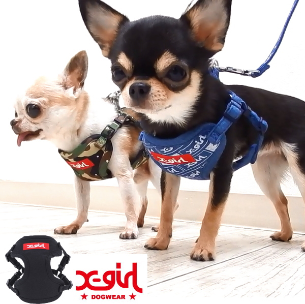 【楽天市場】Xgirl エックスガールハーネス ｜ チワワ 小型犬 犬 ハーネス 胴輪 細い かわいい ボックス
