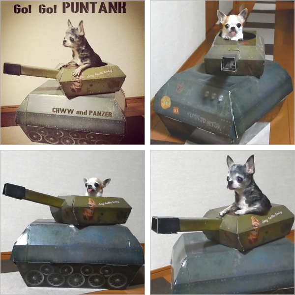 猫 ハウス ダンボール戦車 キャットハウス チワワ 小型犬 組立 ベッド ハウス Chairmanind Co Za