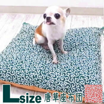 楽天市場 唐草座布団マット Lサイズ チワワ 小型犬 マット 犬用 洗い替え 交換 クッション 中敷き スペア 洗替 ベッド カドラー グッズ 寝る ペット ペット用品 ペット用 ペットグッズ マット洗える クッションマット チワワ専門店スキップドッグ