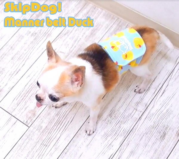 楽天市場 Skipdog マナーベルト アヒル チワワ 犬 ペット おむつ オムツ マナーベルト マナーパンツ マナーパッド マナーパット マナーおむつ 散歩 おむつカバー 小型犬 犬用品 マーキング おしっこ 男の子 オス 去勢 ペット用品 ペットグッズ カラフル かわいい