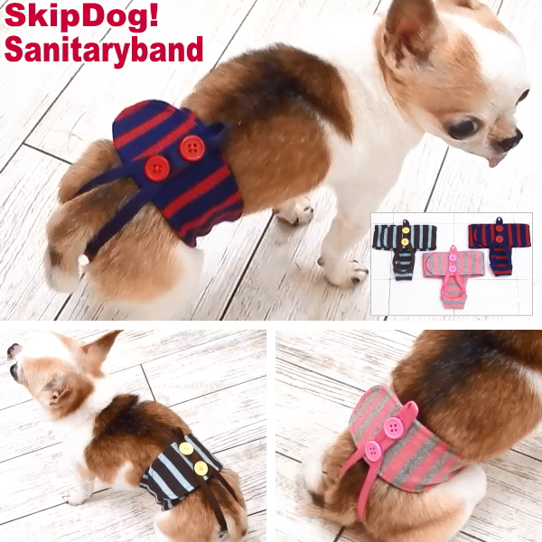 楽天市場 Skipdog サニタリーバンド ボーダー チワワ 服 犬 ペット おむつ オムツ マナーパンツ サニタリーパンツ 生理パンツ マナーパッド マナーパット マナーおむつ ナプキン おむつカバー 小型犬 犬用品 ヒート 避妊 介護 介護用品 ペット用品 カラフル かわいい