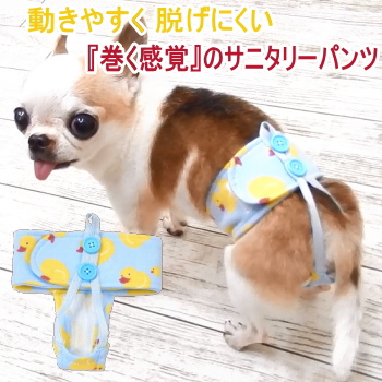 楽天市場 Skipdog サニタリーバンド アヒル チワワ 犬 服 ペット おむつ オムツ マナーパンツ サニタリーパンツ 生理パンツ マナーパッド マナーパット マナーおむつ ナプキン おむつカバー 小型犬 犬用品 ヒート 避妊 介護 介護用品 ペット用品 カラフル かわいい