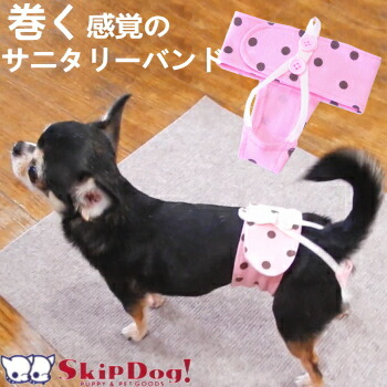 楽天市場 Skipdog サニタリー バンド ボーダー 犬 チワワ 小型犬 サニタリー 服 おむつ オムツ マナーパンツ サニタリーパンツ 生理 ナプキン ヒート 女の子 メス 雌避妊 介護 かわいい チワワ専門店スキップドッグ