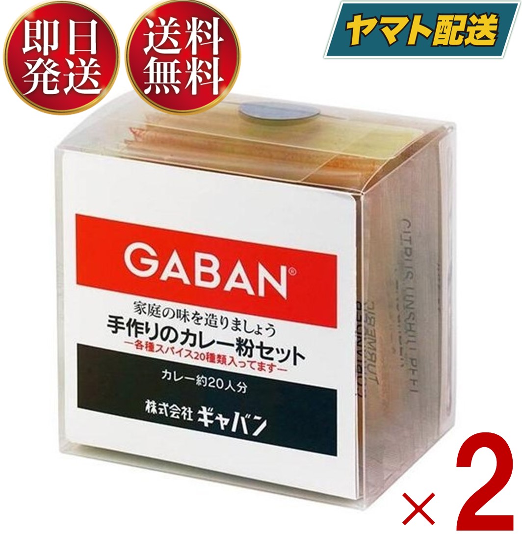 正規店 GABAN gaban 純カレーパウダー 缶 220ｇ スパイス