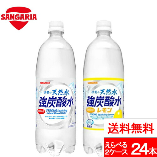 販売 伊賀の天然水炭酸水ライムペット1000ml 24日本サンガリア