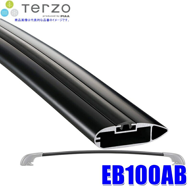 楽天市場】【先着限定☆最大2000円OFFクーポン！】TERZO エアロ