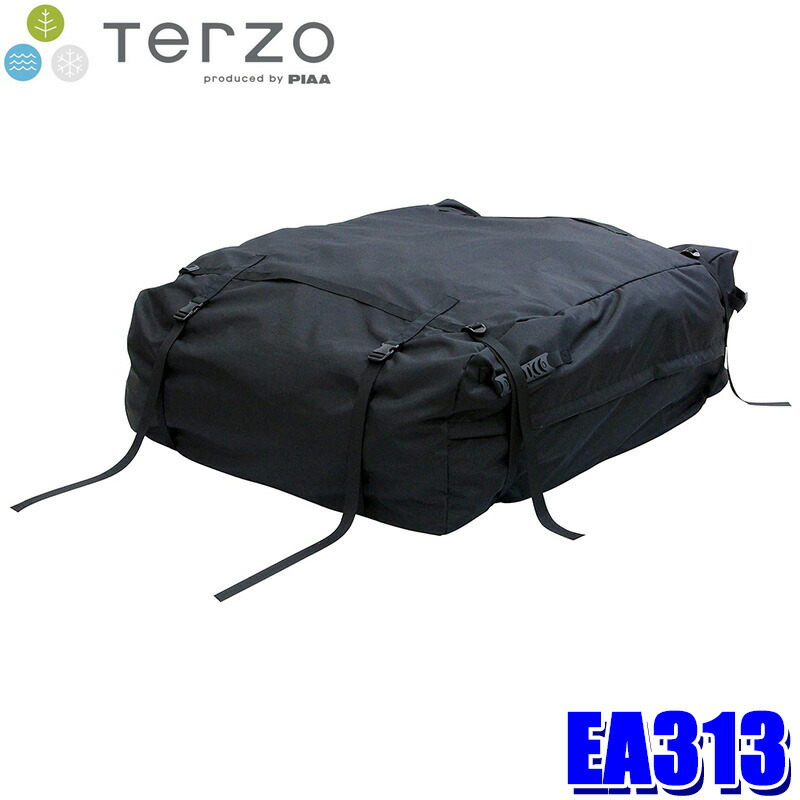 terzo-ea313.jpg