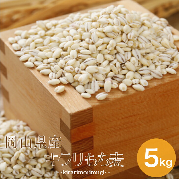 inazumaya_z-z1-5kg
