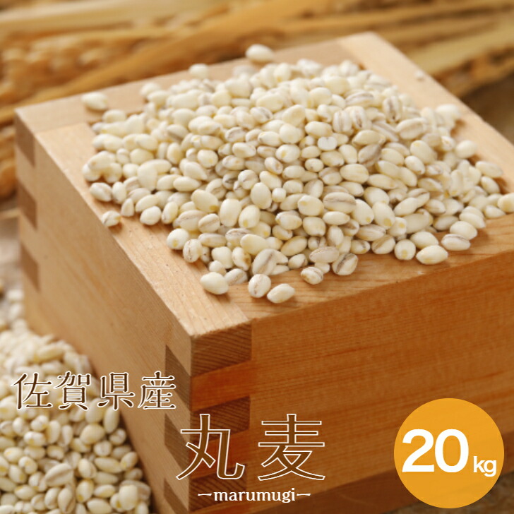 大麦 佐賀県産 丸麦(大麦) 20kg(5kg×4袋) α化 送料無料【北海道・沖縄別途送料追加】