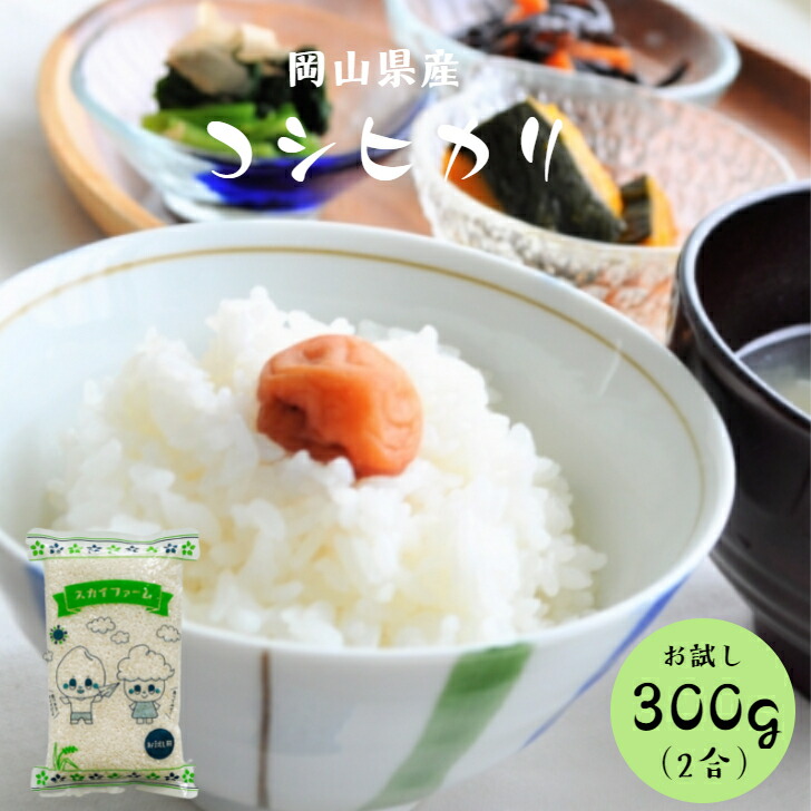 楽天市場】令和6年産 無洗米 5kg 長鮮度 岡山県産 コシヒカリ 無