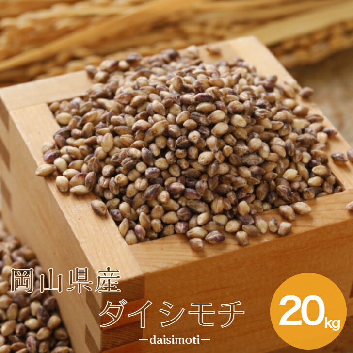 令和6年産 もち麦 国内産 ダイシモチ 20kg（5kg×4袋） 岡山県産 送料無料【北海道・沖縄別途送料追加】 雑穀・雑穀米 古代米 食品 安い 美容・ダイエット・健康