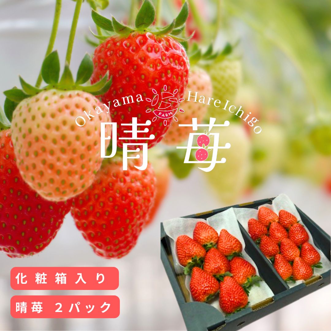 晴苺 はれいちご 岡山県産  [2パック入り化粧箱]【売れ筋】 フルーツ 果物  イチゴ いちご 苺  歳暮 お歳暮 御歳暮 プレゼント ギフト 贈り物