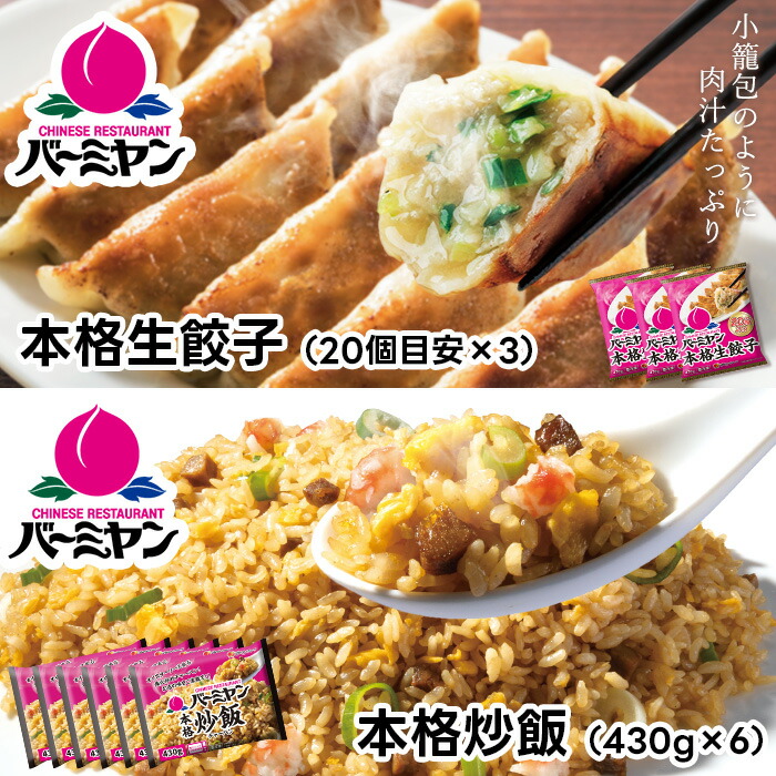 父の日 冷凍食品 惣菜 餃子 炒飯/バーミヤン　餃子＆炒飯セット2種9袋/ギョーザ ぎょうざ 冷凍餃子 中華惣菜 お惣菜 おかず 弁当 フライパン調理 一人暮らし 簡単調理 グルメ ギフト 外食